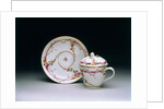 Cup and Saucer by Unknown