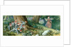 Wood Elves Watching a Lady by Richard Doyle