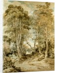 Wood Scene by John Crome