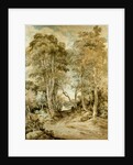 Wood Scene by John Crome