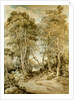 Wood Scene by John Crome
