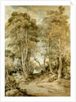 Wood Scene by John Crome