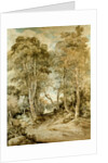 Wood Scene by John Crome