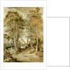 Wood Scene by John Crome