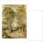 Wood Scene by John Crome
