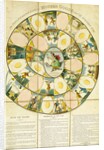 Mother Goose and The Golden Egg Boardgame. London, England, 1808 by John Wallis