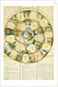 Mother Goose and The Golden Egg Boardgame. London, England, 1808 by John Wallis