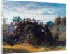 Study of Sky and Trees at Hampstead by John Constable