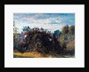Study of Sky and Trees at Hampstead by John Constable