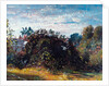 Study of Sky and Trees at Hampstead by John Constable