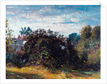 Study of Sky and Trees at Hampstead by John Constable