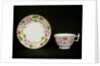 Tea Cup and Saucer by Unknown