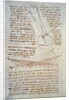 Page from Forster Codex by Leonardo da Vinci