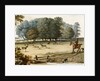 Park Scene by Pieter Tillemans