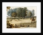 Park Scene by Pieter Tillemans