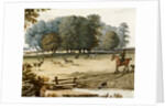 Park Scene by Pieter Tillemans