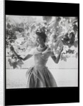 Princess Margaret by Cecil Beaton