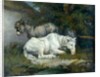 Horse and Donkey by James Ward