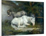 Horse and Donkey by James Ward