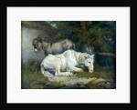 Horse and Donkey by James Ward