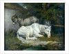 Horse and Donkey by James Ward