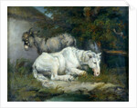 Horse and Donkey by James Ward