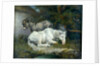 Horse and Donkey by James Ward