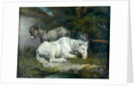 Horse and Donkey by James Ward