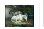 Horse and Donkey by James Ward