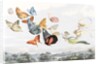 The Fairy Queen takes an airy drive in a light carriage by Richard Doyle