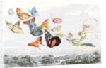 The Fairy Queen takes an airy drive in a light carriage by Richard Doyle