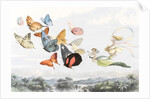 The Fairy Queen takes an airy drive in a light carriage by Richard Doyle