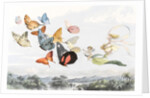The Fairy Queen takes an airy drive in a light carriage by Richard Doyle