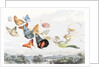 The Fairy Queen takes an airy drive in a light carriage by Richard Doyle