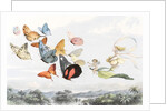The Fairy Queen takes an airy drive in a light carriage by Richard Doyle