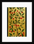 Cherries on a panel in the V&A's Morris Room by Anonymous