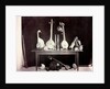 Musical instruments by Captain Linnaeus Tripe