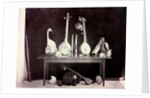 Musical instruments by Captain Linnaeus Tripe