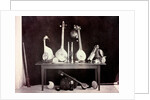 Musical instruments by Captain Linnaeus Tripe