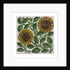 Sunflowers tile by William De Morgan