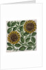 Sunflowers tile by William De Morgan