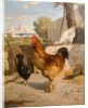 Poultry by François Bocion