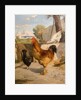 Poultry by François Bocion