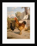 Poultry by François Bocion