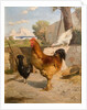 Poultry by François Bocion