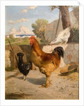 Poultry by François Bocion