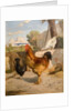 Poultry by François Bocion