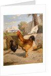 Poultry by François Bocion
