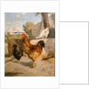 Poultry by François Bocion