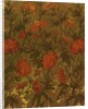 Wallpaper by Walter Crane